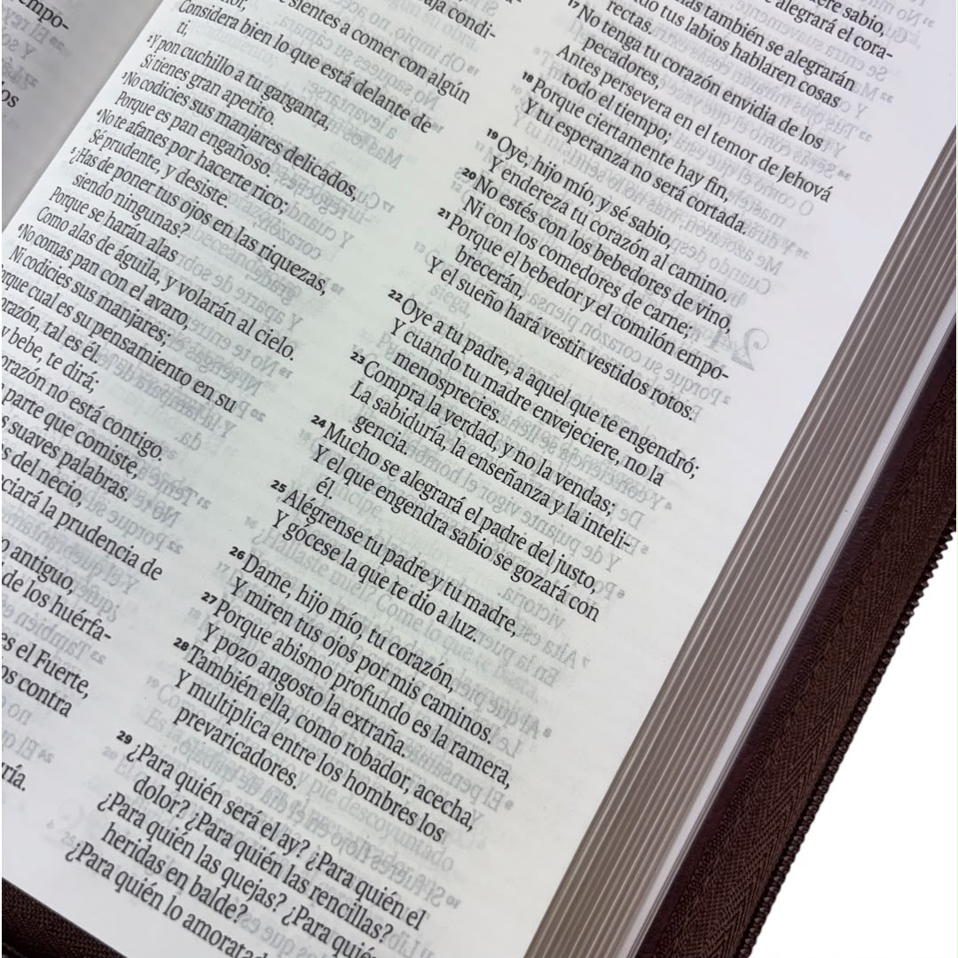 Biblia Rv1960 obsequios y premios imitacion piel cafe c/cierre