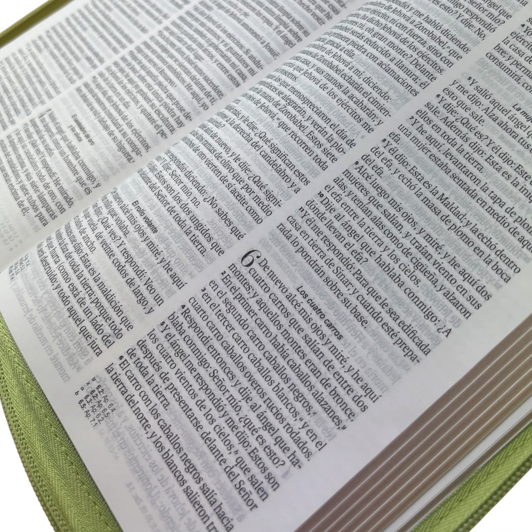 Biblia Rv1960 obsequios y premios letra grande verde olivo c/cierre