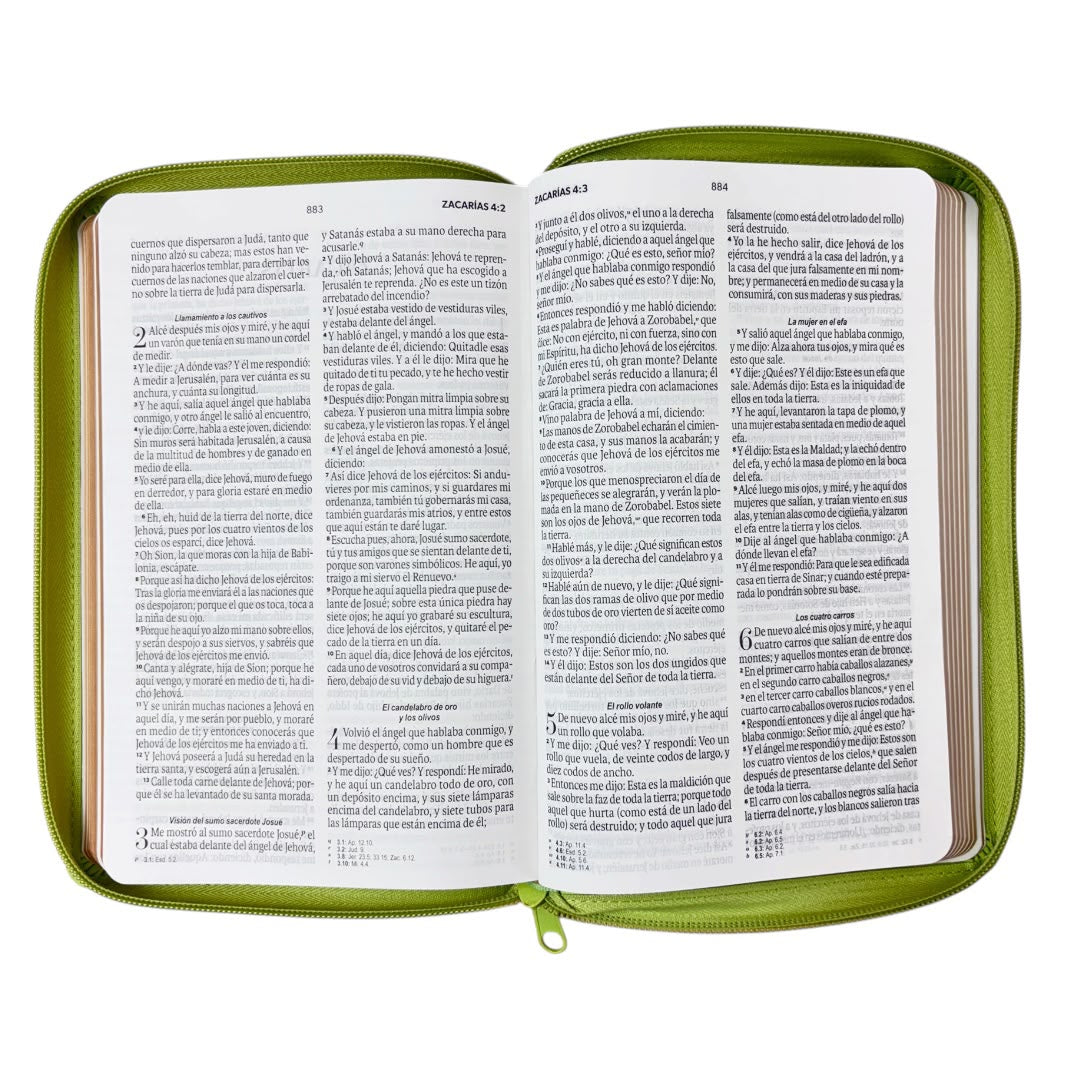 Biblia Rv1960 obsequios y premios letra grande verde olivo c/cierre