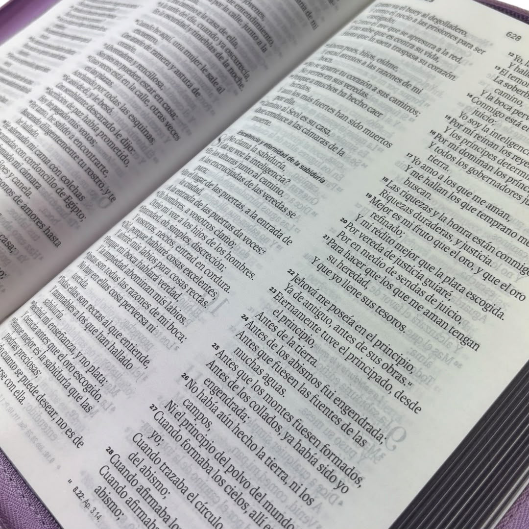 Biblia Rvr1960 obsequios y premios lila imitacion piel c/cierre