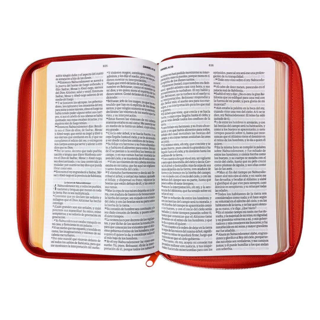 Biblia Rvr1960 obsequios y premios coral imitacion piel  c/cierre