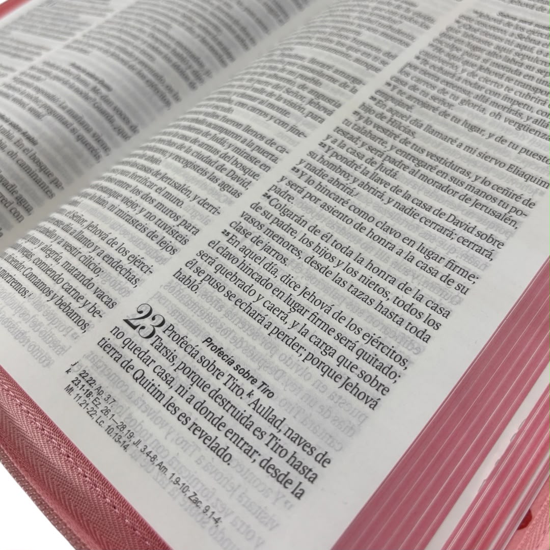 Biblia obsequios y premios RVR60 Rosa floral  Imitación Piel/ Cierre