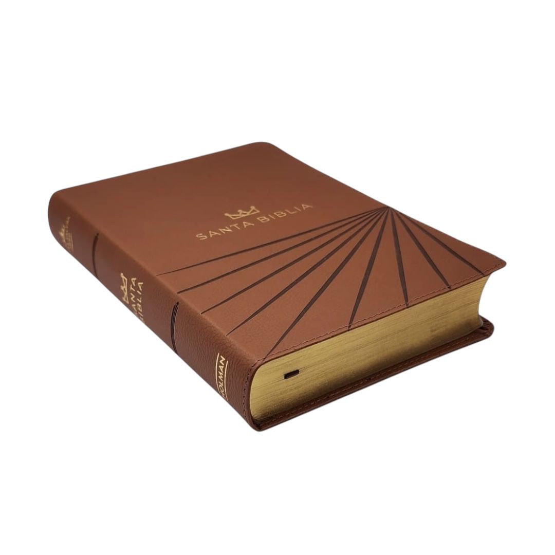 Biblia Reina valera 1960 letra grande tamaño manual c/ indice imitacion piel terracota