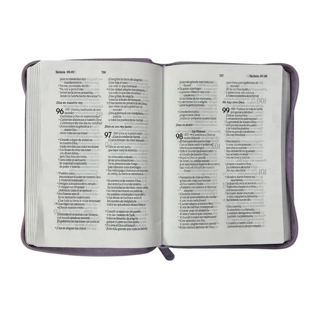 Biblia Traducción lenguaje actual compacta c/ cierre lila imitacion piel