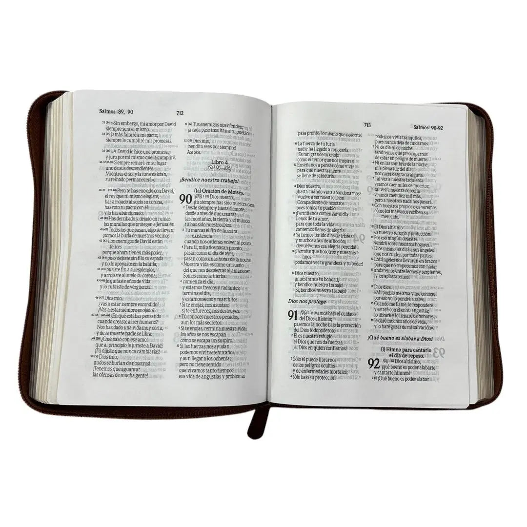 Biblia Traduccion lenguaje actual compacta c/ cierre cafe