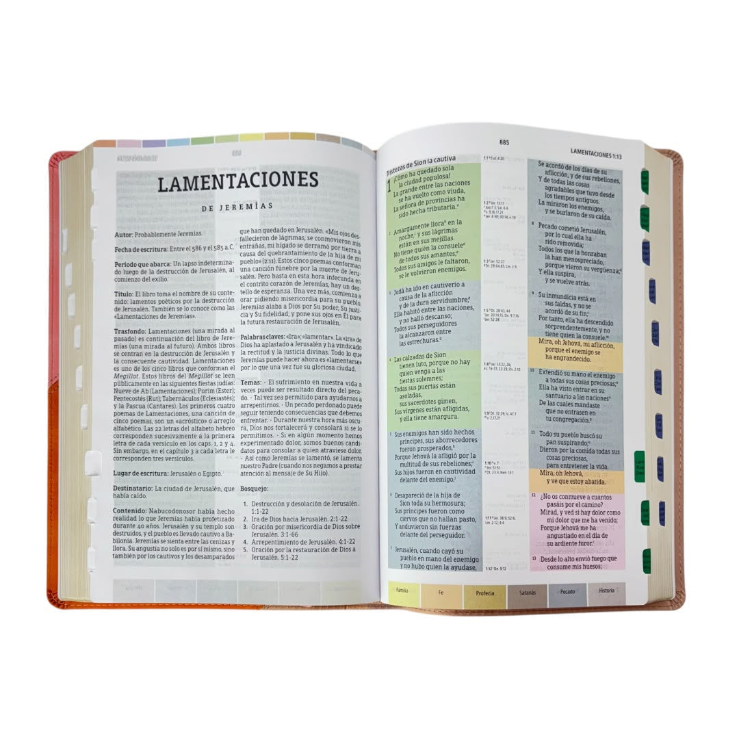 Biblia de estudio arcoiris rosa cuarzo simil piel c/ índice Levítico