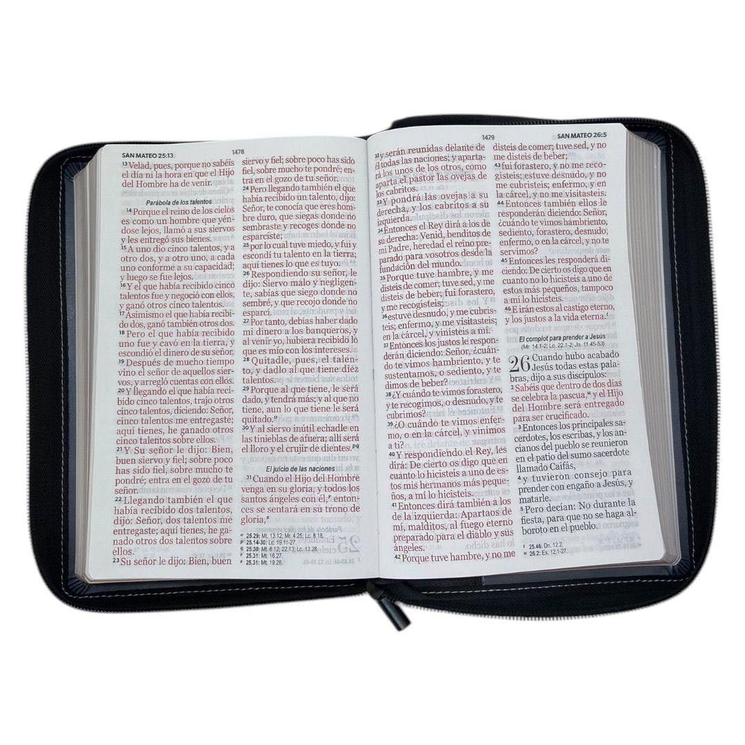 BIBLIA RVR 1960 LETRA GIGANTE MANUAL GRIS/ NEGRO CIERRE "ESFORZAOS "