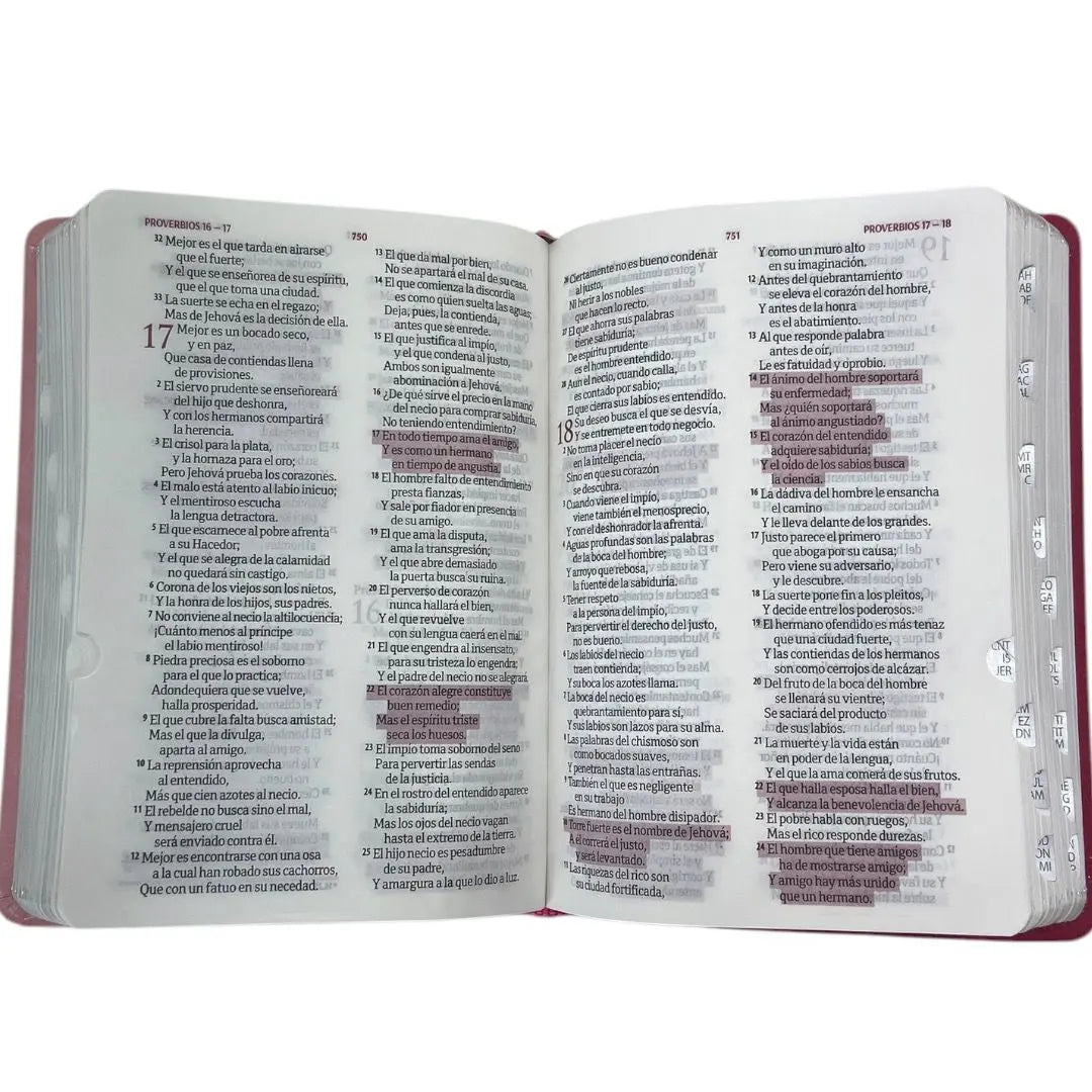 Biblia Fuente de Bendiciones RV 1960 Rosada c/índice