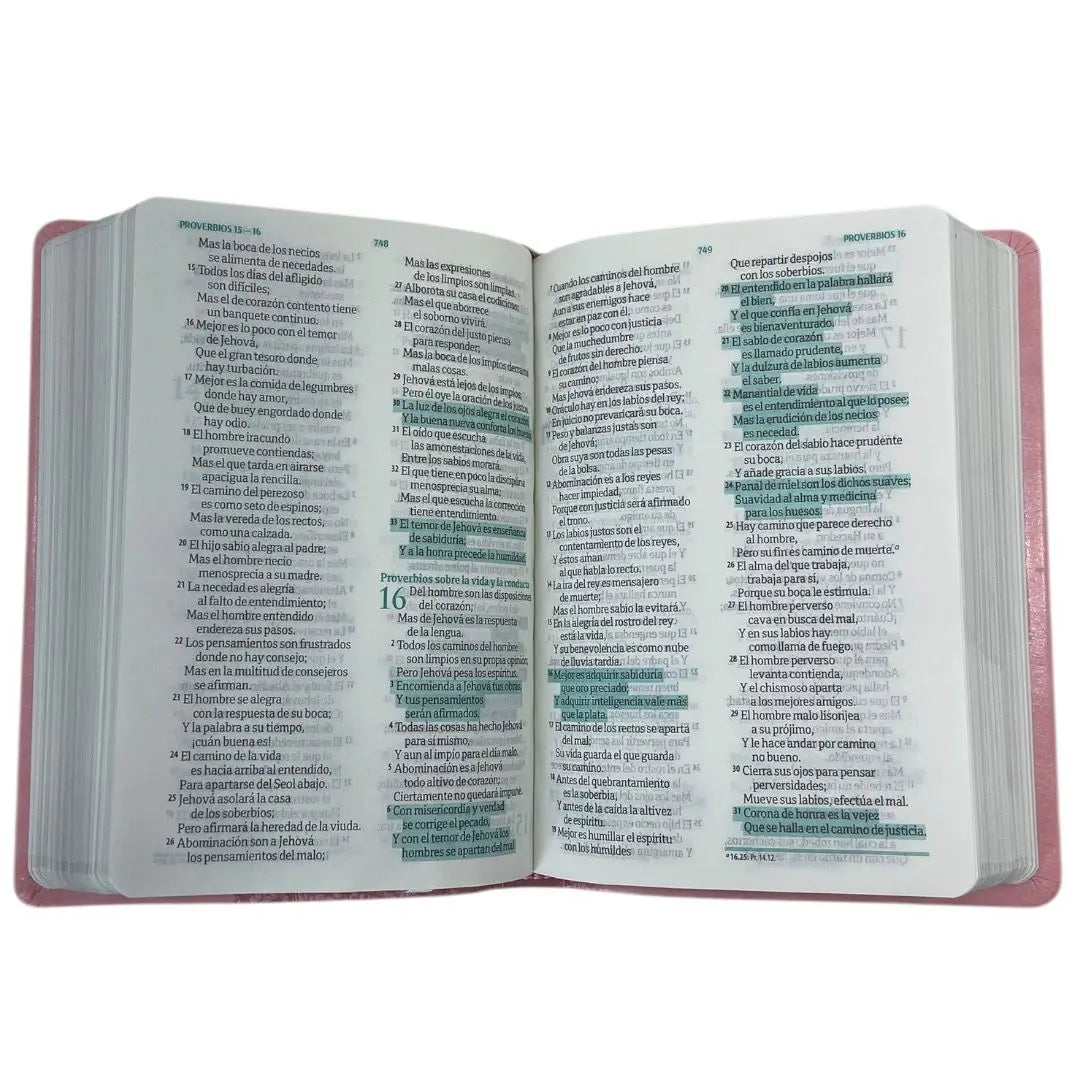 Biblia Fuente de Bendiciones RV 1960 Rosa