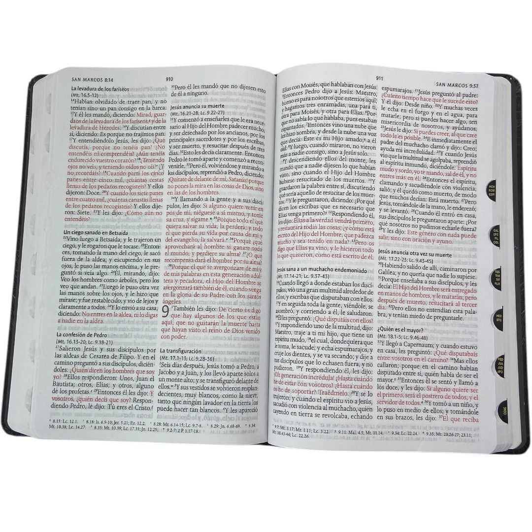 BIBLIA REINA VALERA 1960 LETRA GRANDE LEON DE JUDA/INDICE