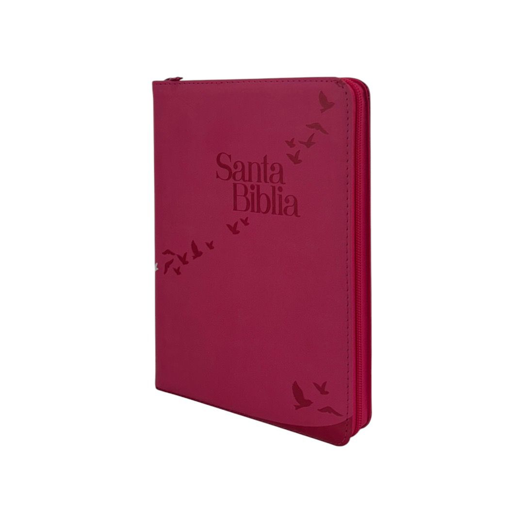 BIBLIA REINA VALERA 1960 LETRA GIGANTE ROSA CIERRE INDICE