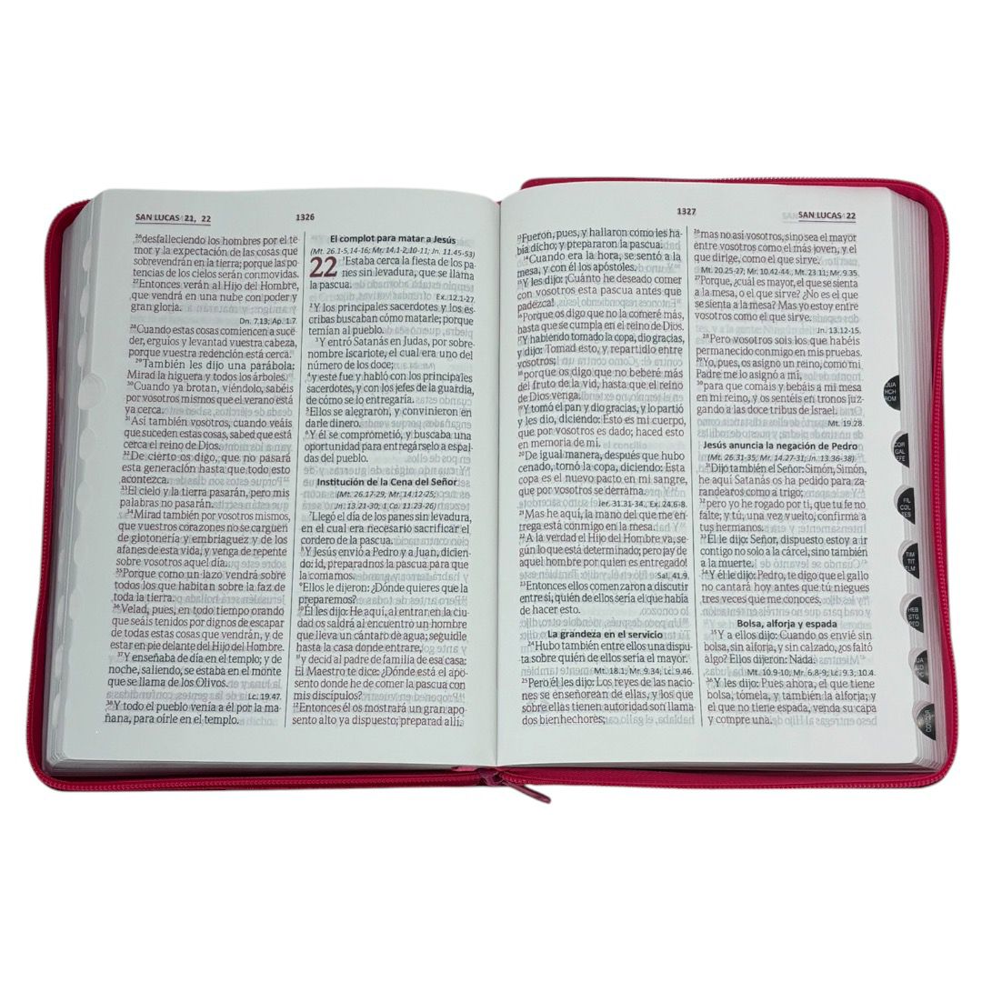 BIBLIA REINA VALERA 1960 LETRA GIGANTE ROSA CIERRE INDICE