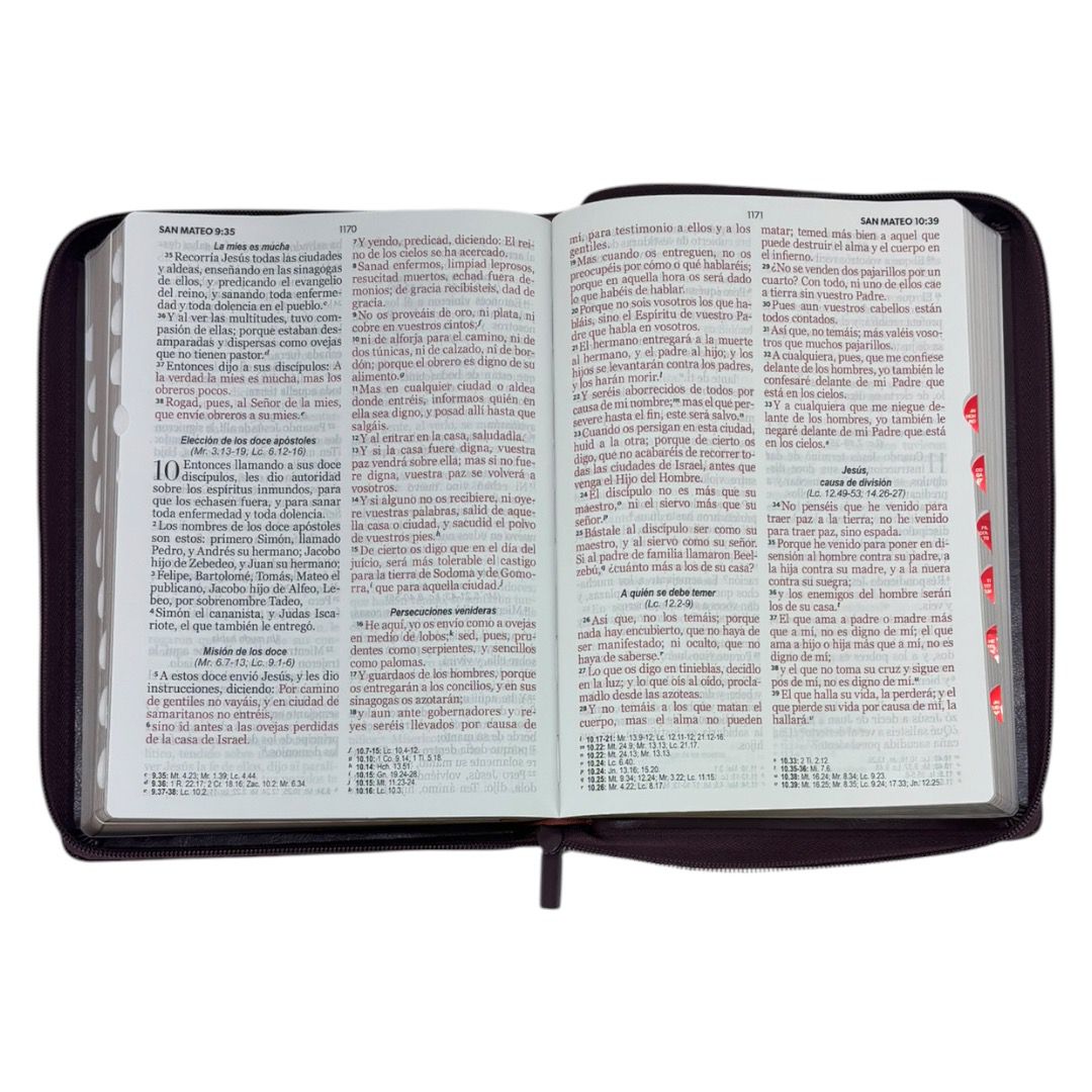 BIBLIA RVR 1960 GIGANTE RELIEVE IMITACION PIEL CIERRE/INDICE