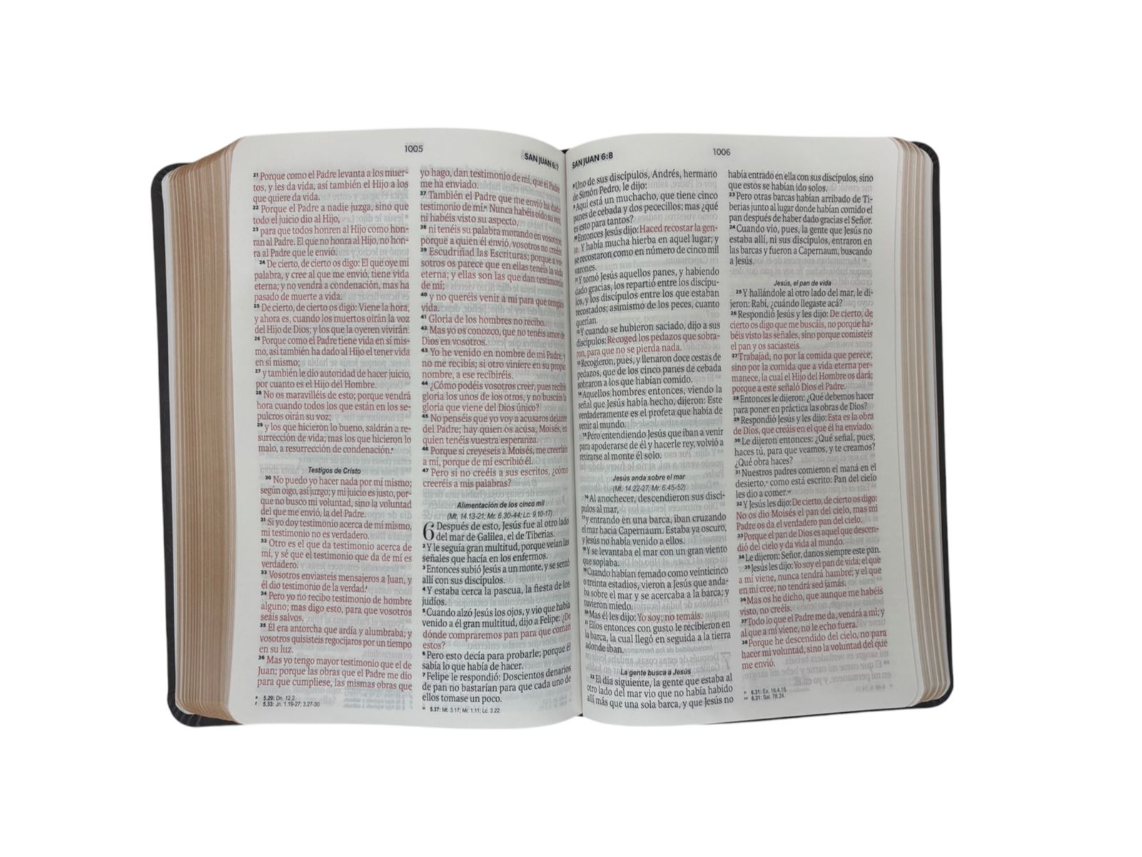 BIBLIA REINA VALERA 1960 LETRA GRANDE MANUAL IMIT PIEL MOKA AGUILA