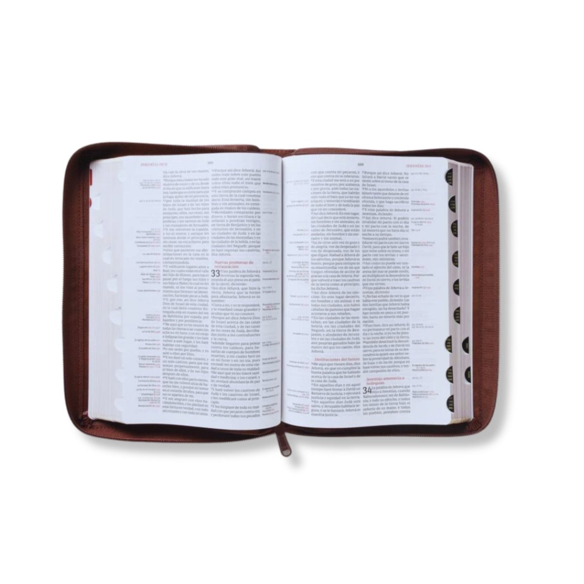 Biblia de Referencia Thompson RVR Café con Cierre E Índice - Levítico