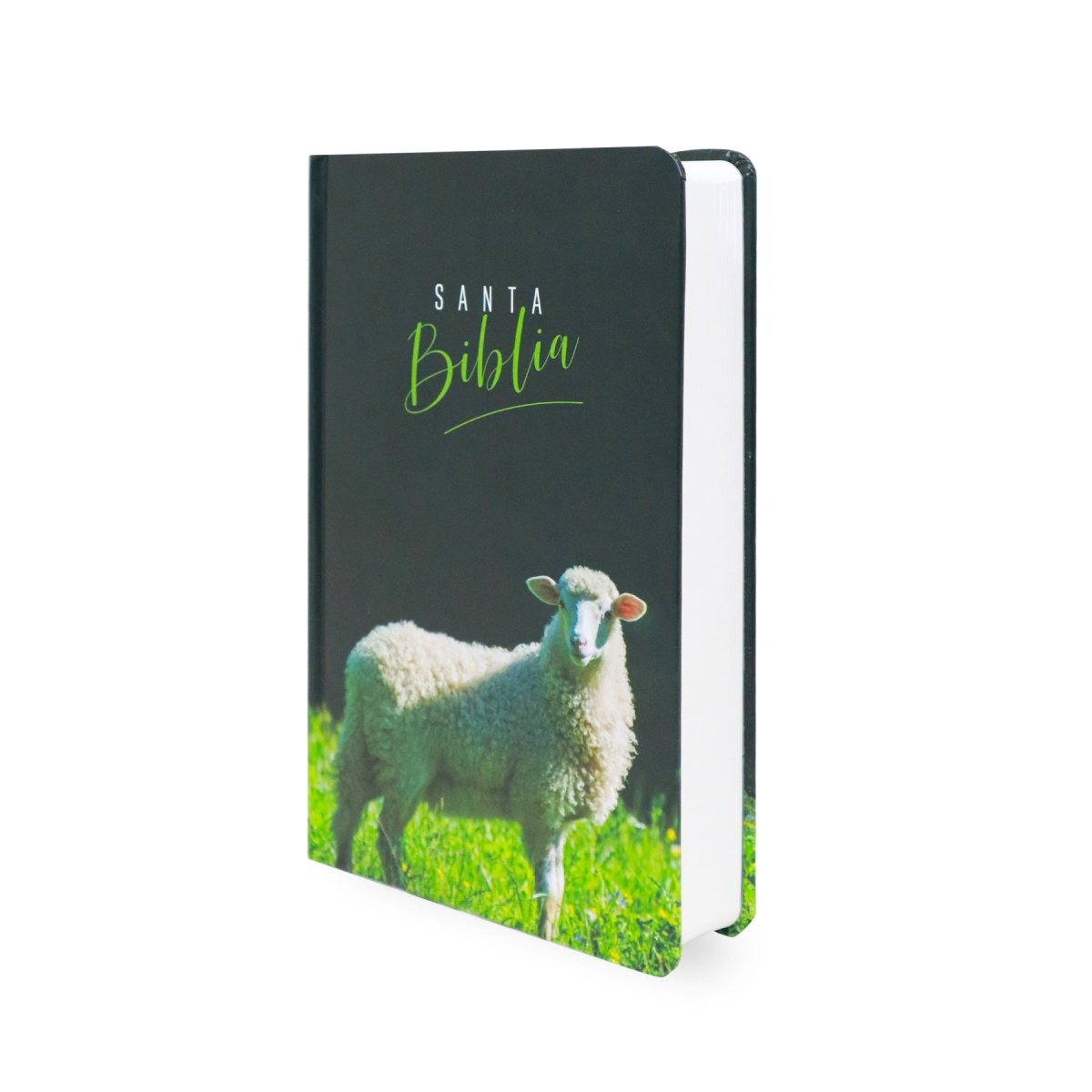 BIBLIA REINA VALERA 1960 CON LOS NOMBRES DE DIOS CORDERO TAPA DURA - Levítico