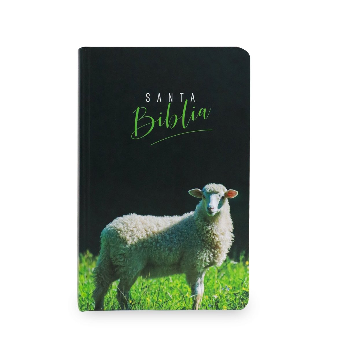 BIBLIA REINA VALERA 1960 CON LOS NOMBRES DE DIOS CORDERO TAPA DURA - Levítico