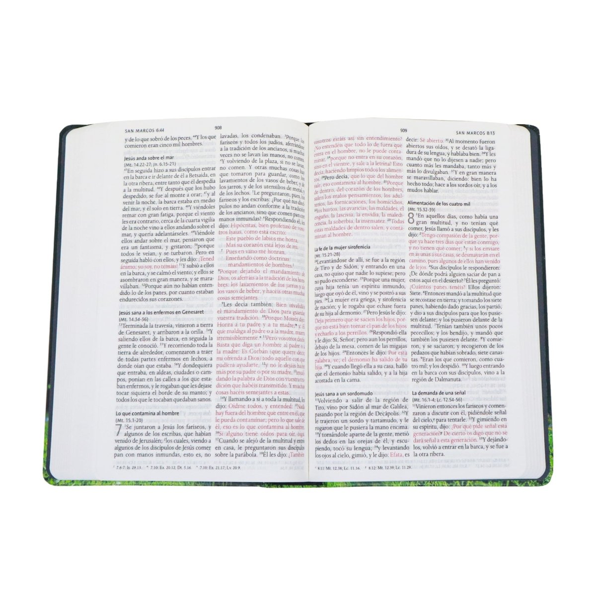 BIBLIA REINA VALERA 1960 CON LOS NOMBRES DE DIOS CORDERO TAPA DURA - Levítico