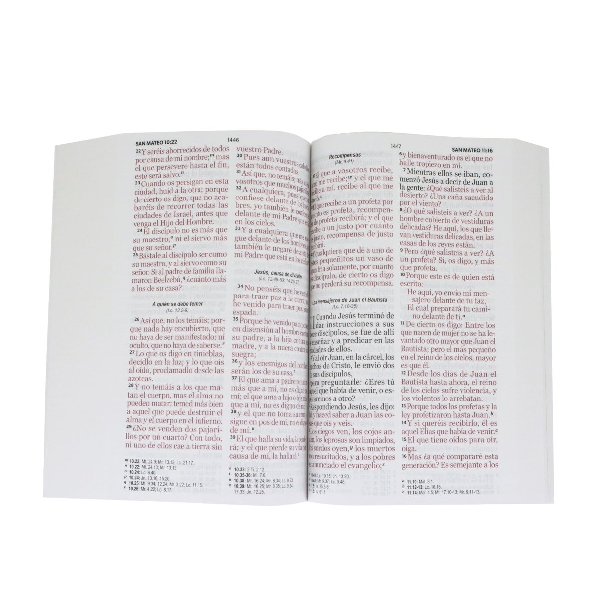 BIBLIA REINA VALERA 1960 LETRA GIGANTE RUSTICA FLORES - Levítico
