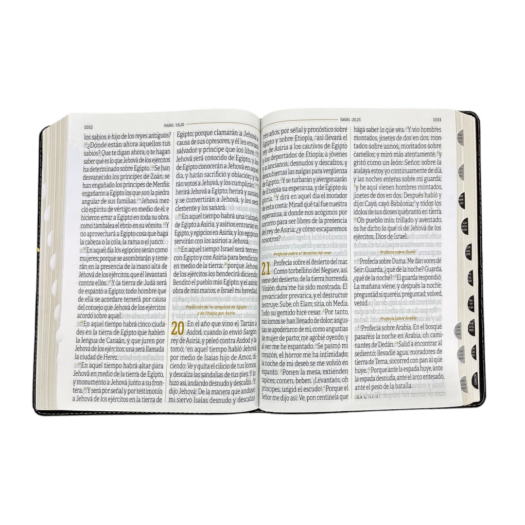BIBLIA REINA VALERA 1960 LETRA SUPERGIGANTE CANTO DORADO/INDICE - Levítico