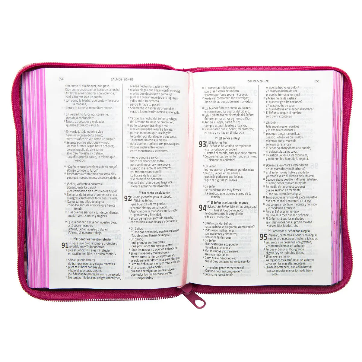 BIBLIA DIOS HABLA HOY VALIENTES CON JESUS ACOLCHONADA ROSA