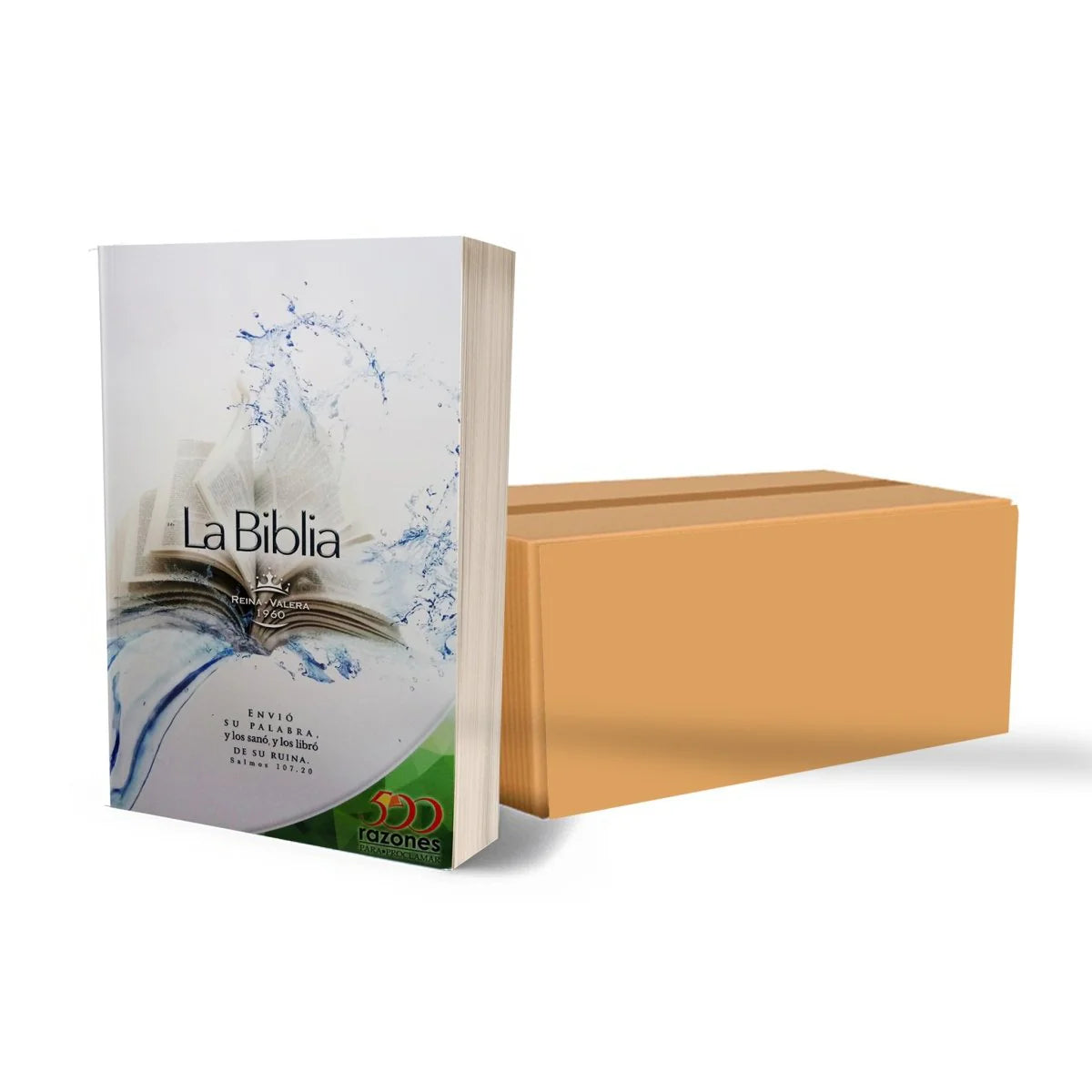 CAJA DE BIBLIAS ECONÓMICAS 500 RAZONES 40 PZ