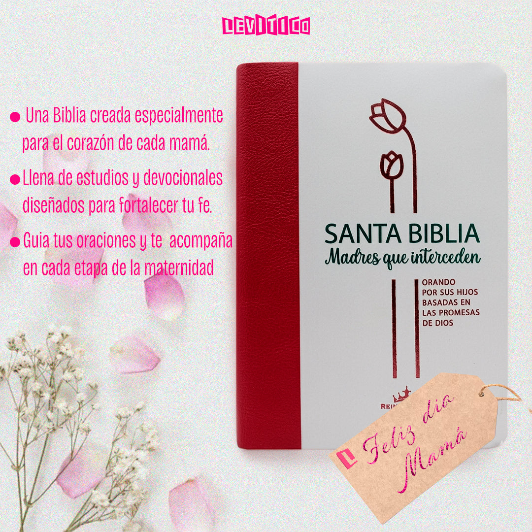 Biblia Reina Valera Madres Que Interceden letra grande