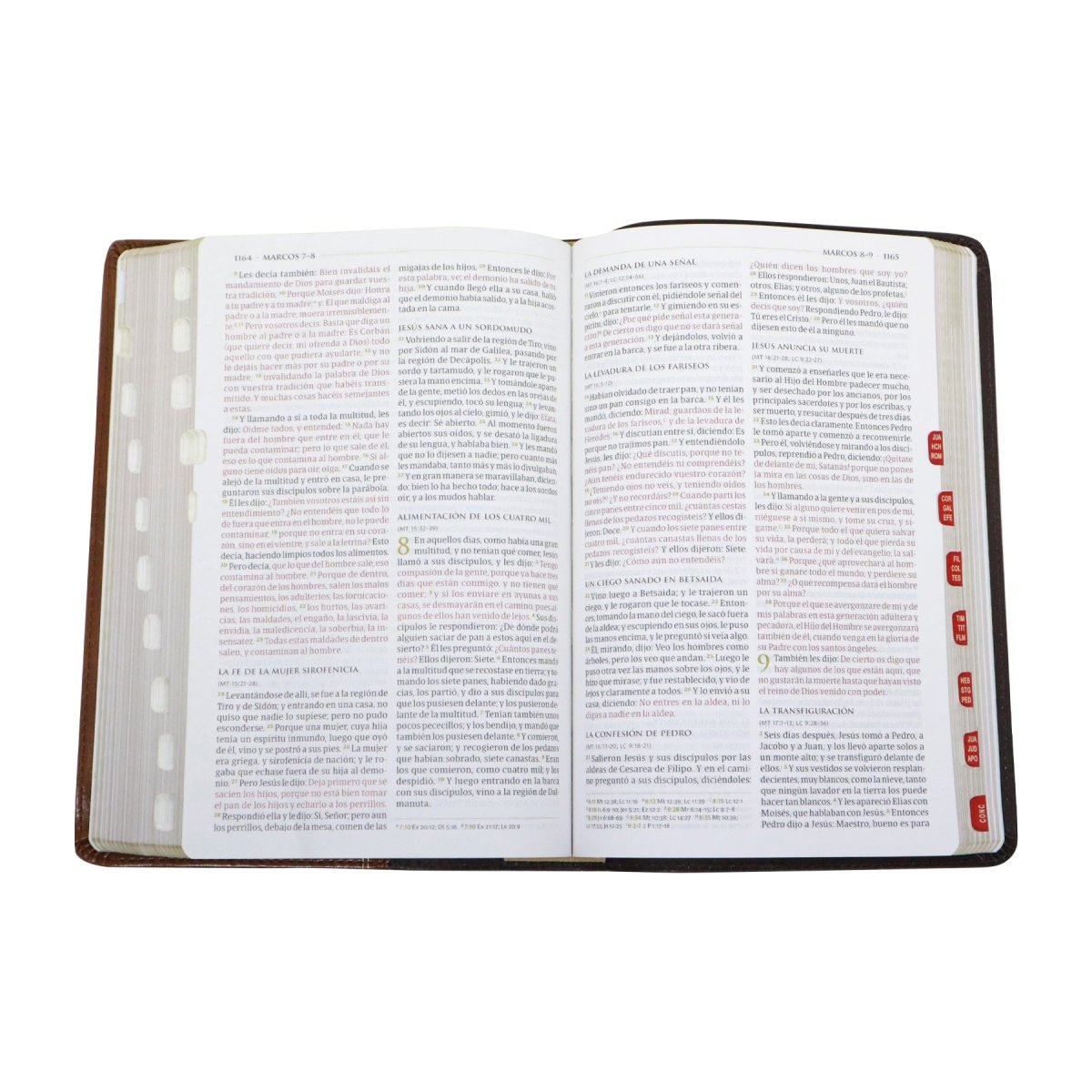 Reina Valera 1960 Biblia temática de estudio, marrón oscuro/marrón piel fabricada con índice - Levítico
