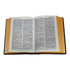 SANTA BIBLIA RV1960 CONCORDANCIA VINIL COLORES
