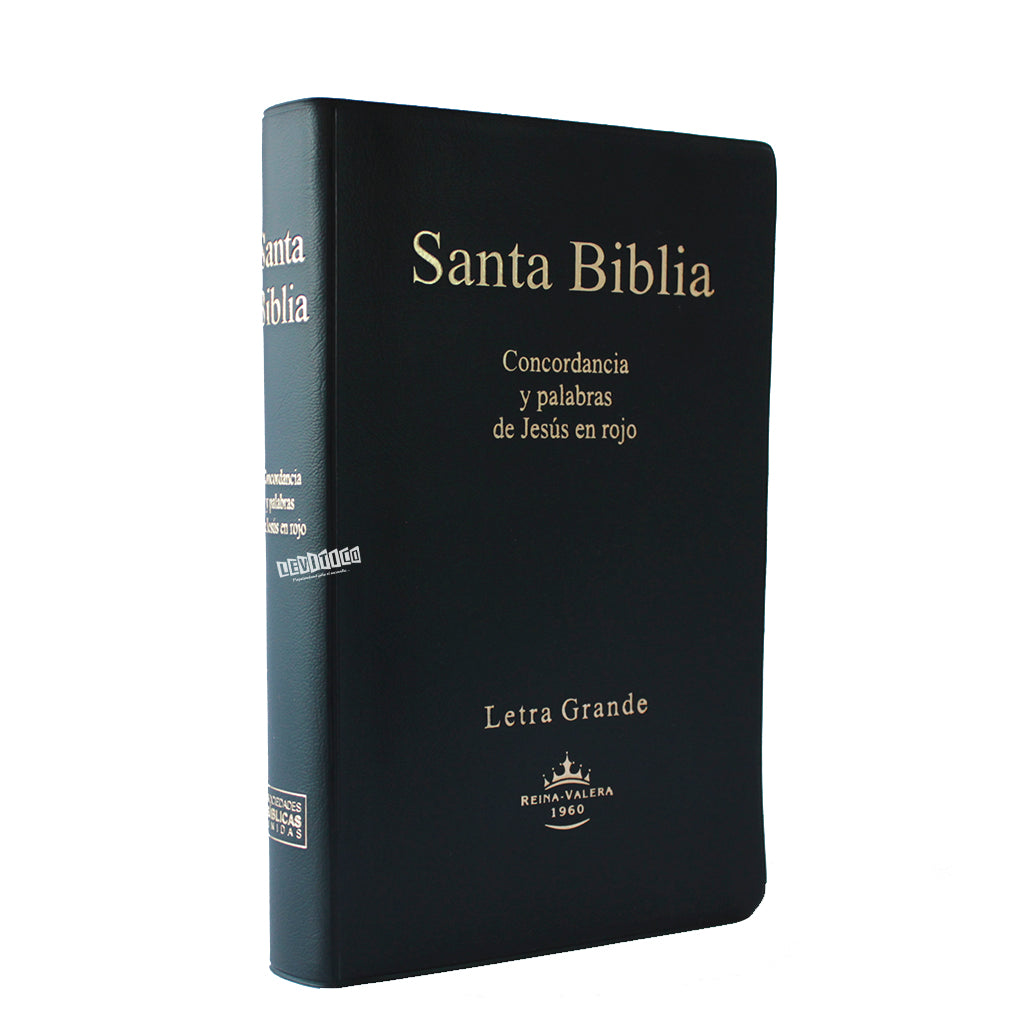 Santa Biblia RVR1960 Letra grande Vinil