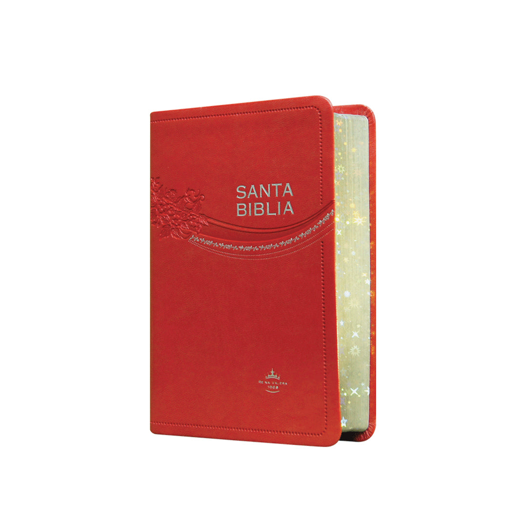 SANTA BIBLIA RV1960 IMITACION PIEL/FUCSIA