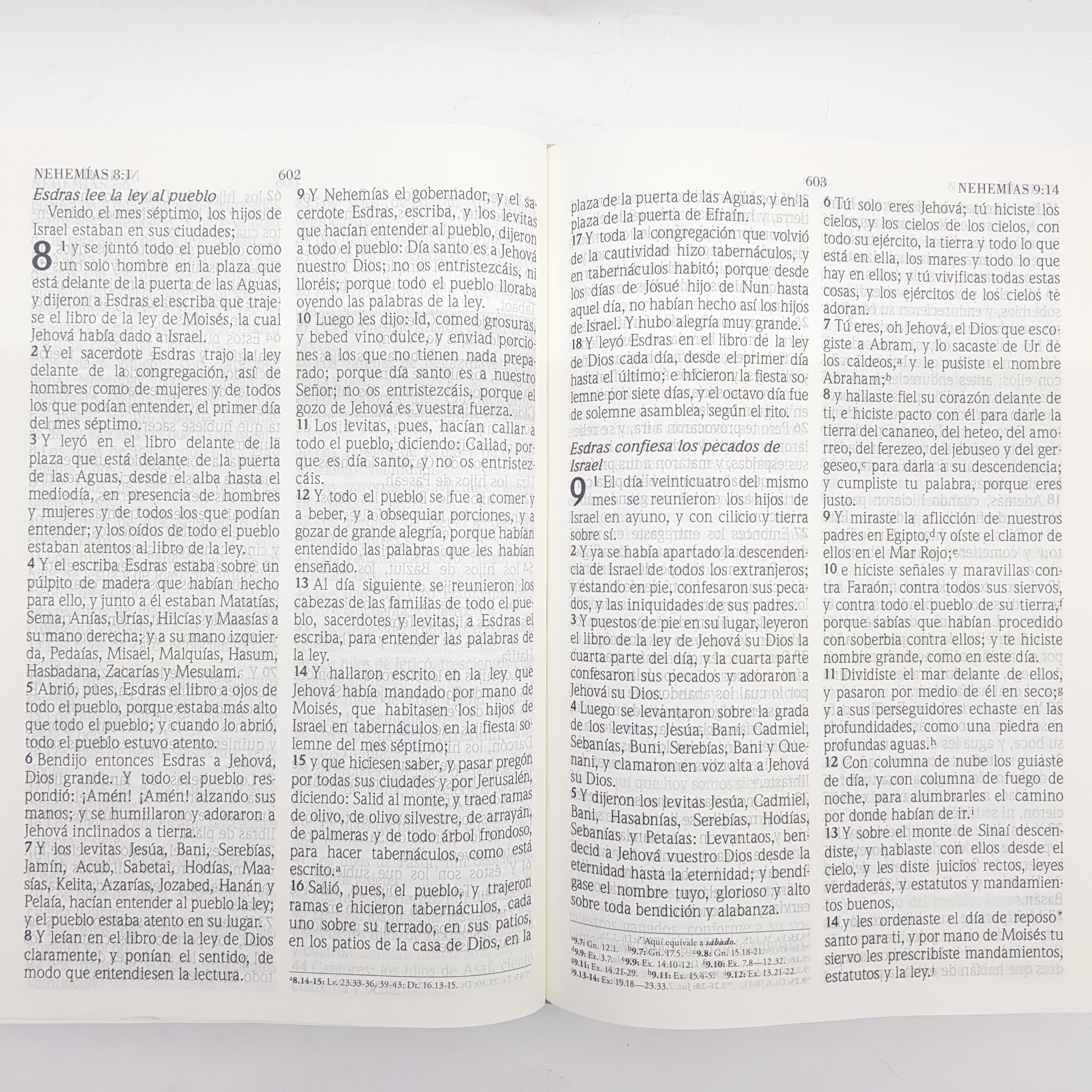 Biblia de Promesas Inspira  Letra grande Tapa dura