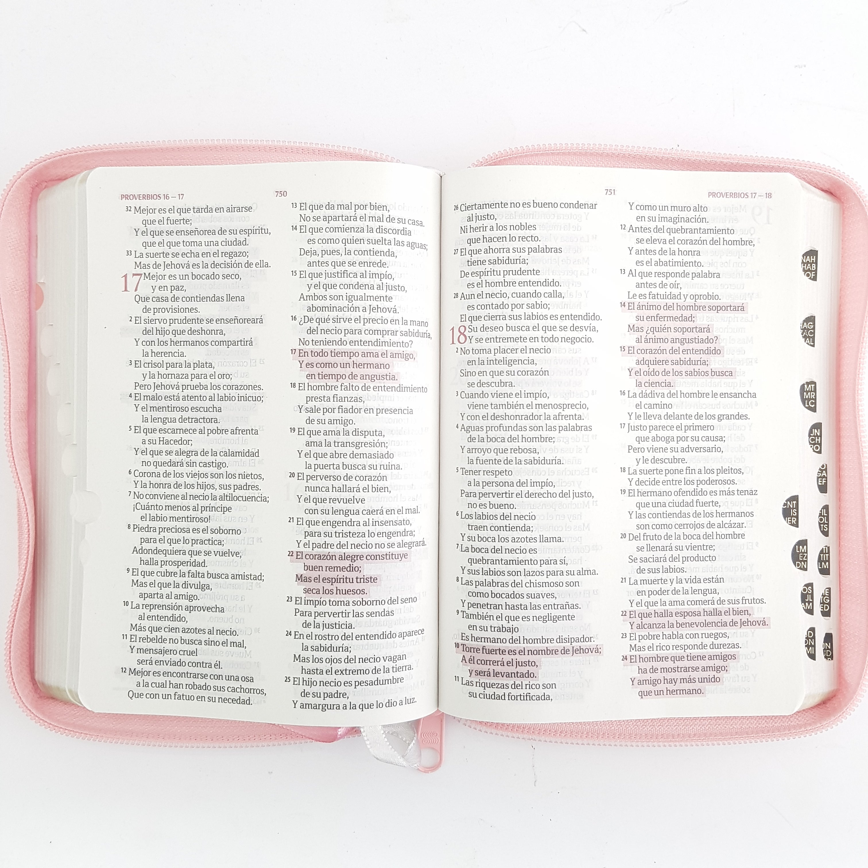 Santa Biblia RVR1960 XV años Rosa c/cierre