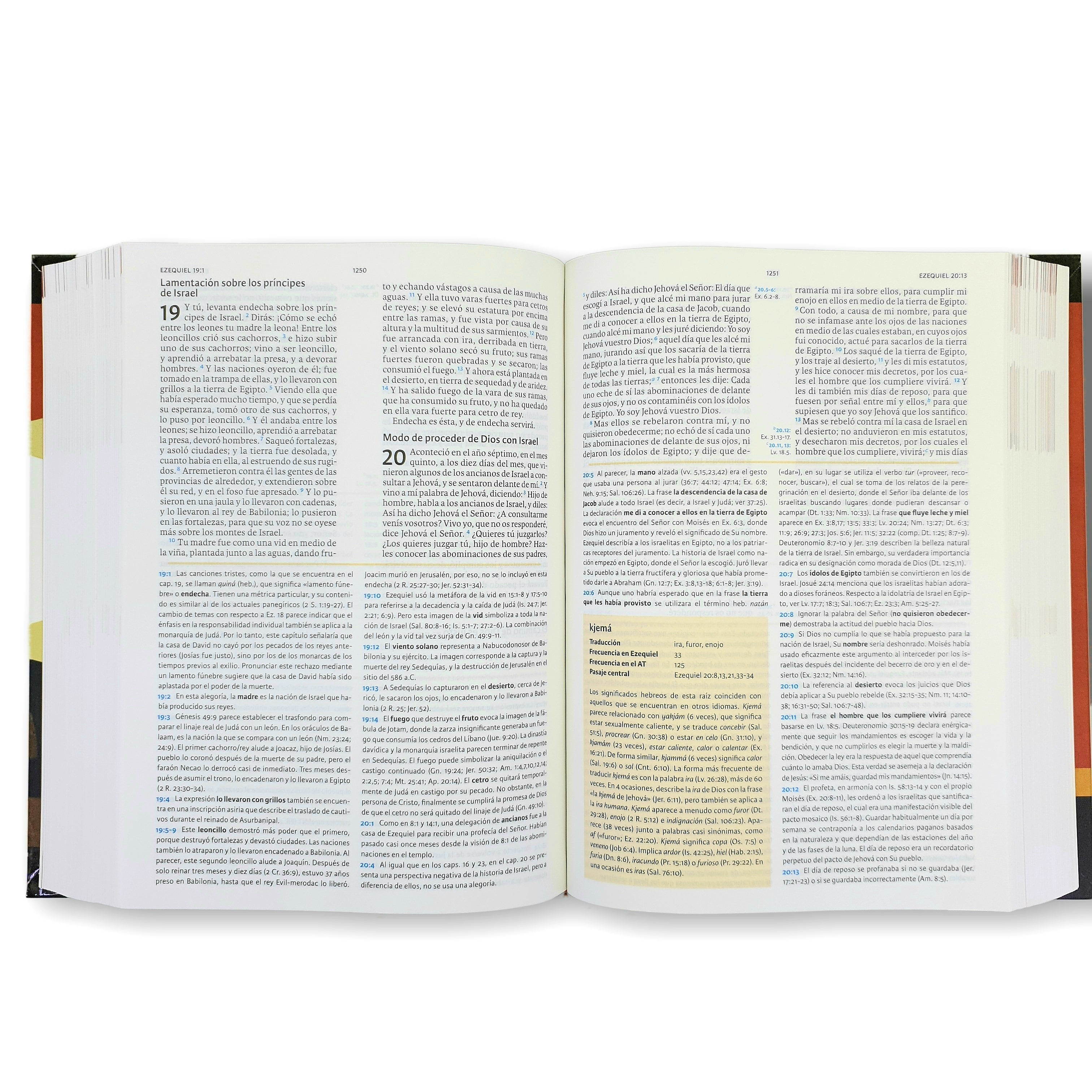 Biblia de Estudio Holman RVR1960 Tapa dura