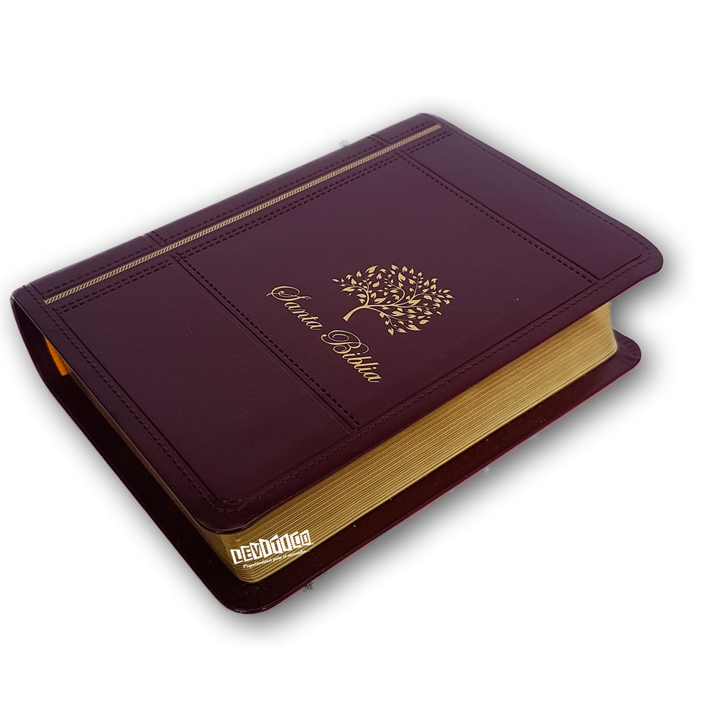 Santa Biblia Compacta Imitación piel vino/borgana RVR60