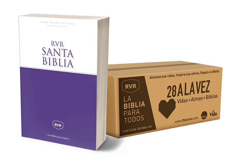 Caja De Biblias RVR 28 A La Vez