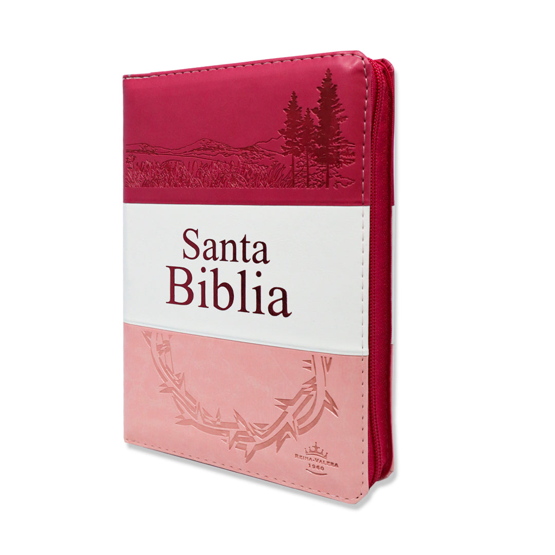 SANTA BIBLIA RV1960 CORONA LETRA GRANDE C/CIERRE INDICE 3 TONOS