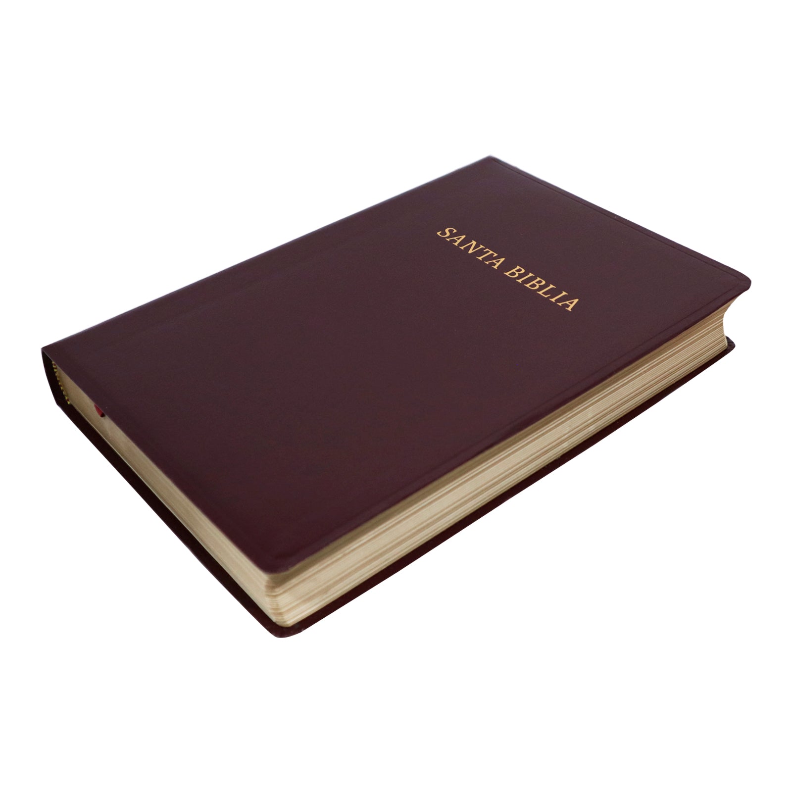 BIBLIA RV1960 LETRA GIGANTE CON REFERENCIAS