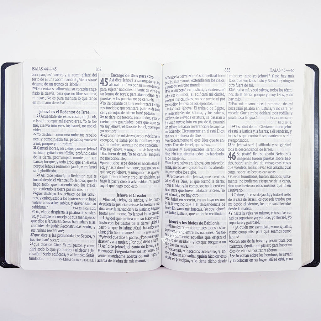 Biblia Letra gigante, Reina-Valera 1960 LUJO