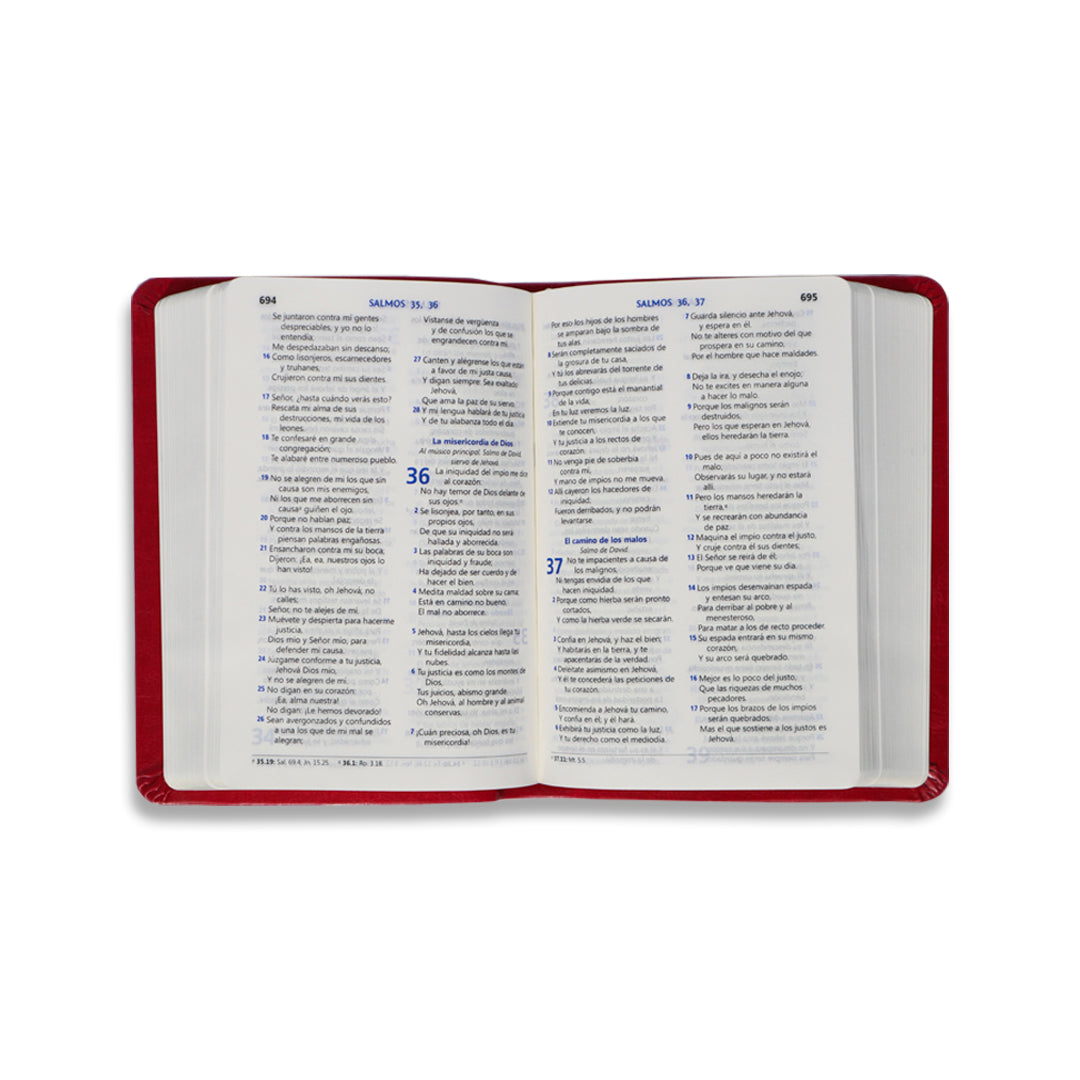 BIBLIA RV1960 PALABRAS DE JESUS EN ROJO/ FUCSIA, PURPURA