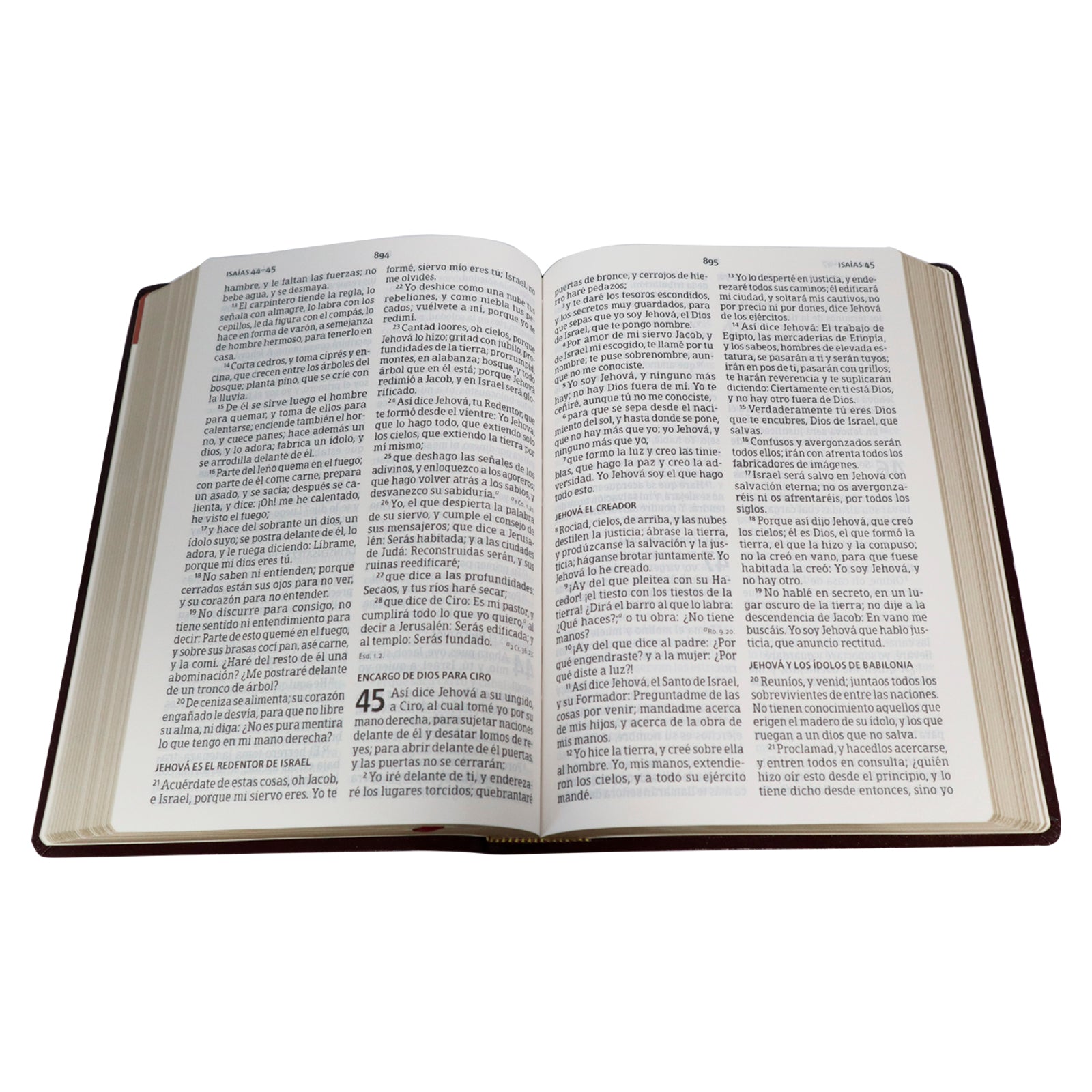 BIBLIA RV1960 LETRA GIGANTE CON REFERENCIAS