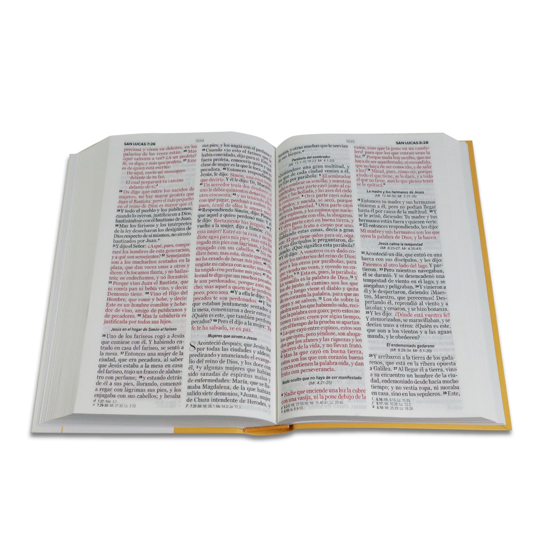 BIBLIA RVR 1960 ECOFLEX MANUAL LETRA GRANDE AMARILLO/BLANCO