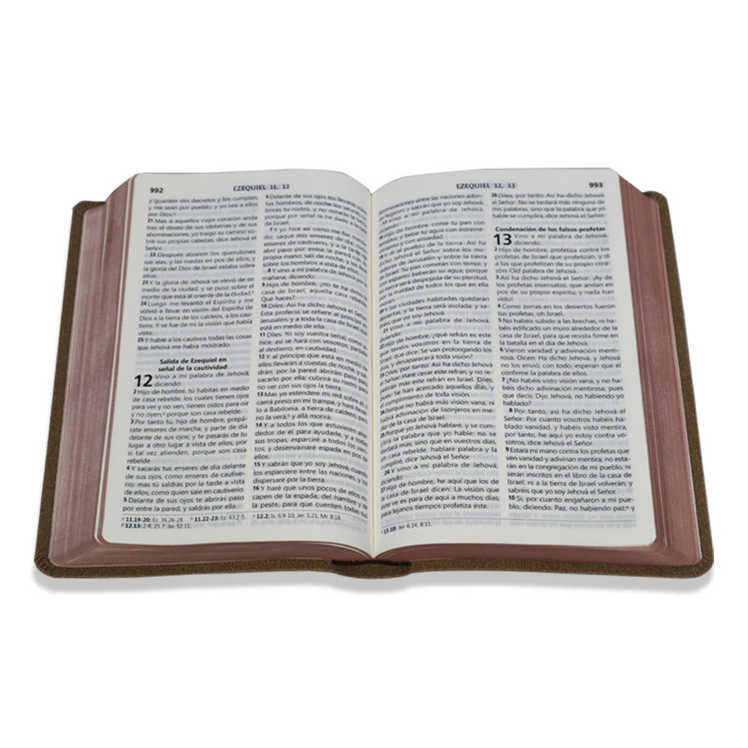 SANTA BIBLIA RV1960 LETRA GRANDE  CON REFERENCIAS