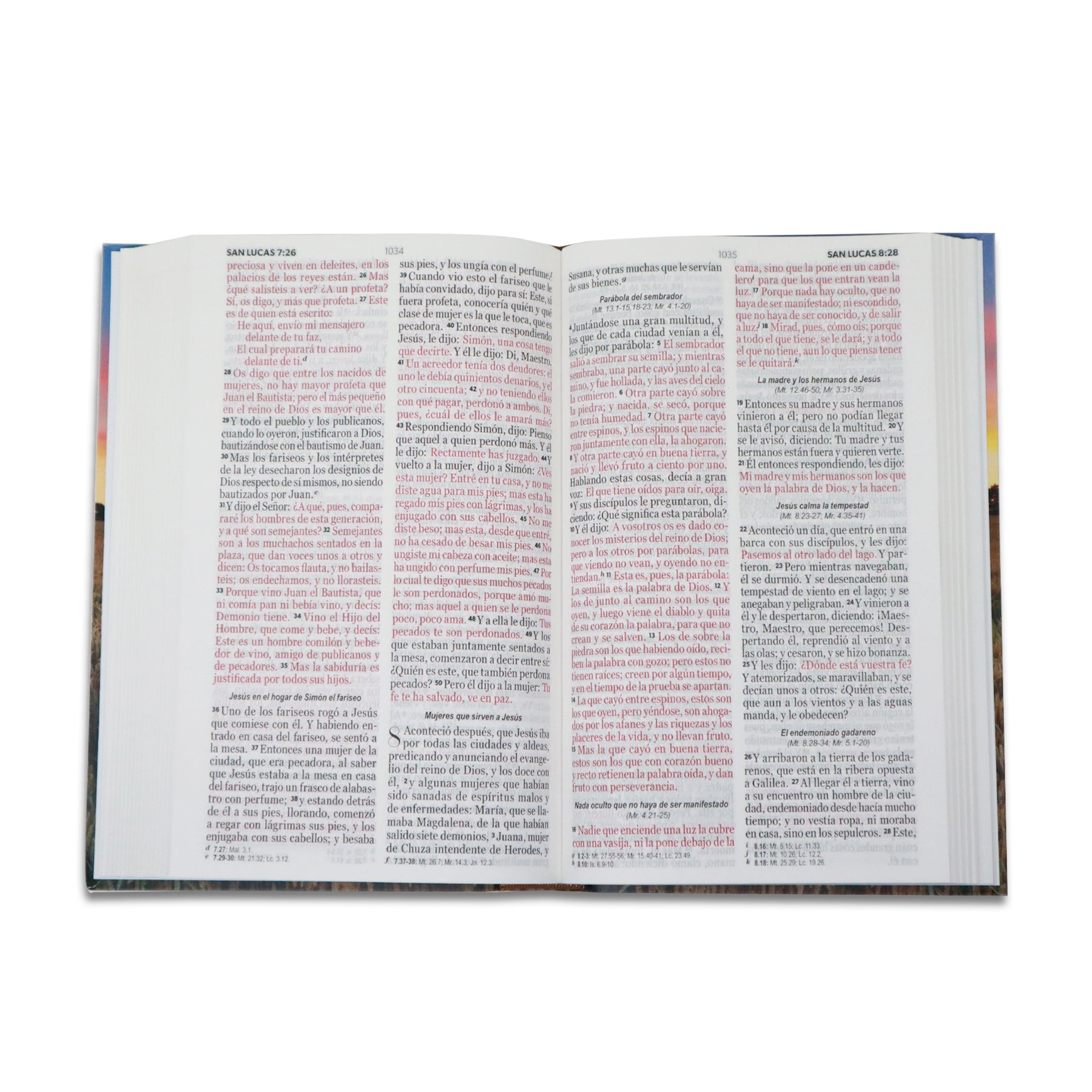 BIBLIA RVR 1960 MANUAL LETRA GRANDE ECOFLEX/ FARO