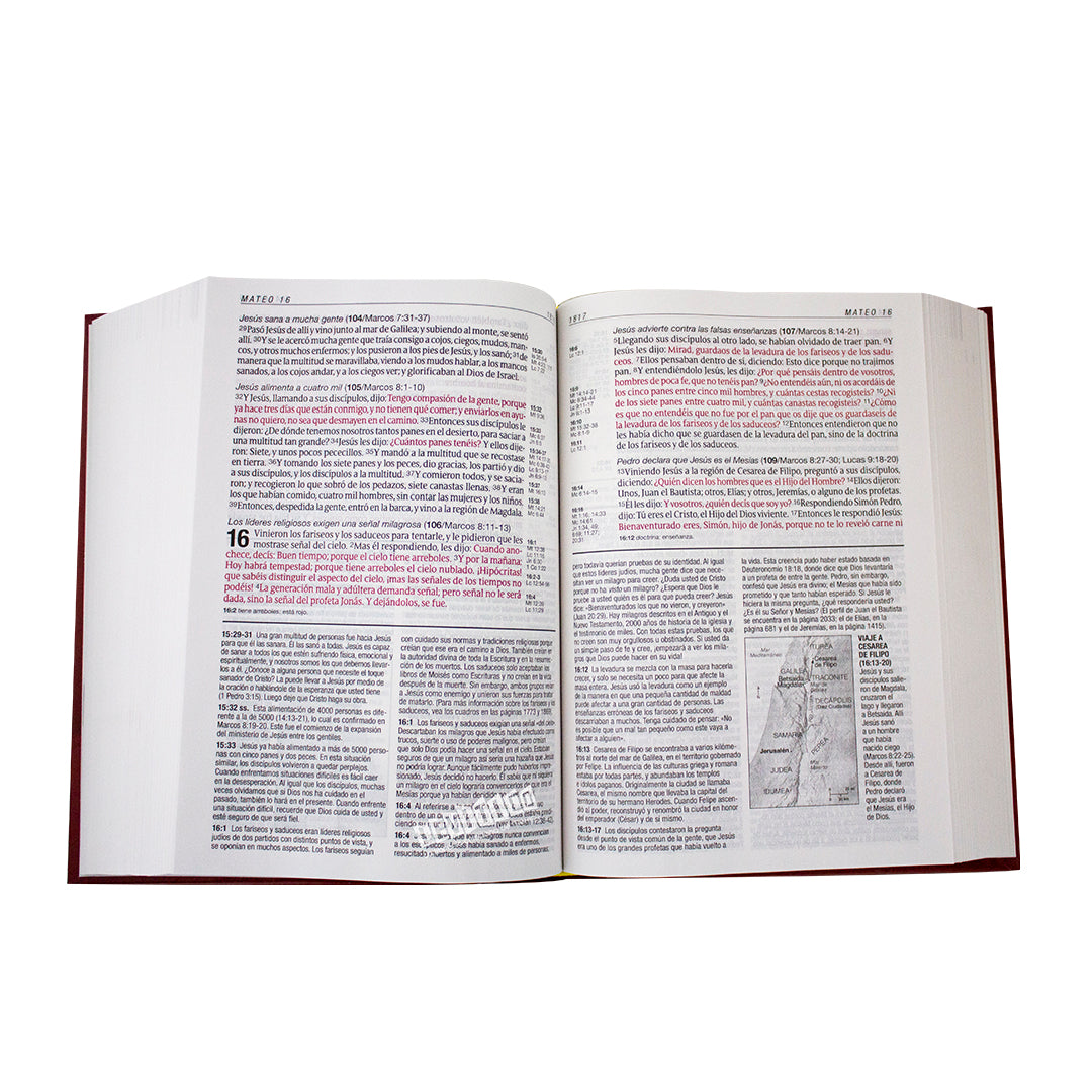 Biblia de estudio Diario Vivir RVR1960 Letra grande Tapa dura