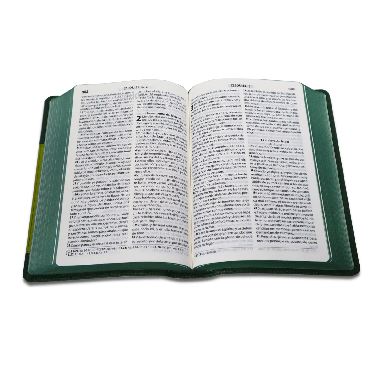 SANTA BIBLIA RV1960 LETRA GRANDE CON REFERENCIAS