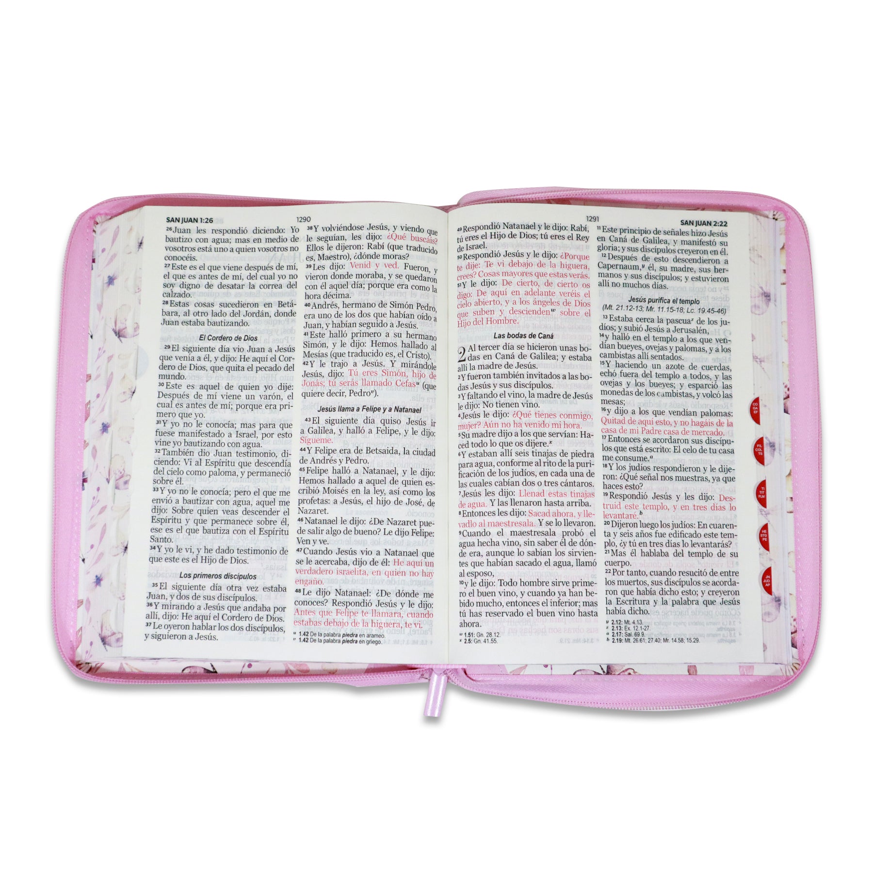 BIBLIA RVR 1960 GIGANTE DISEÑO MARIPOSA TURQUESA/ROSA IMIT PIEL