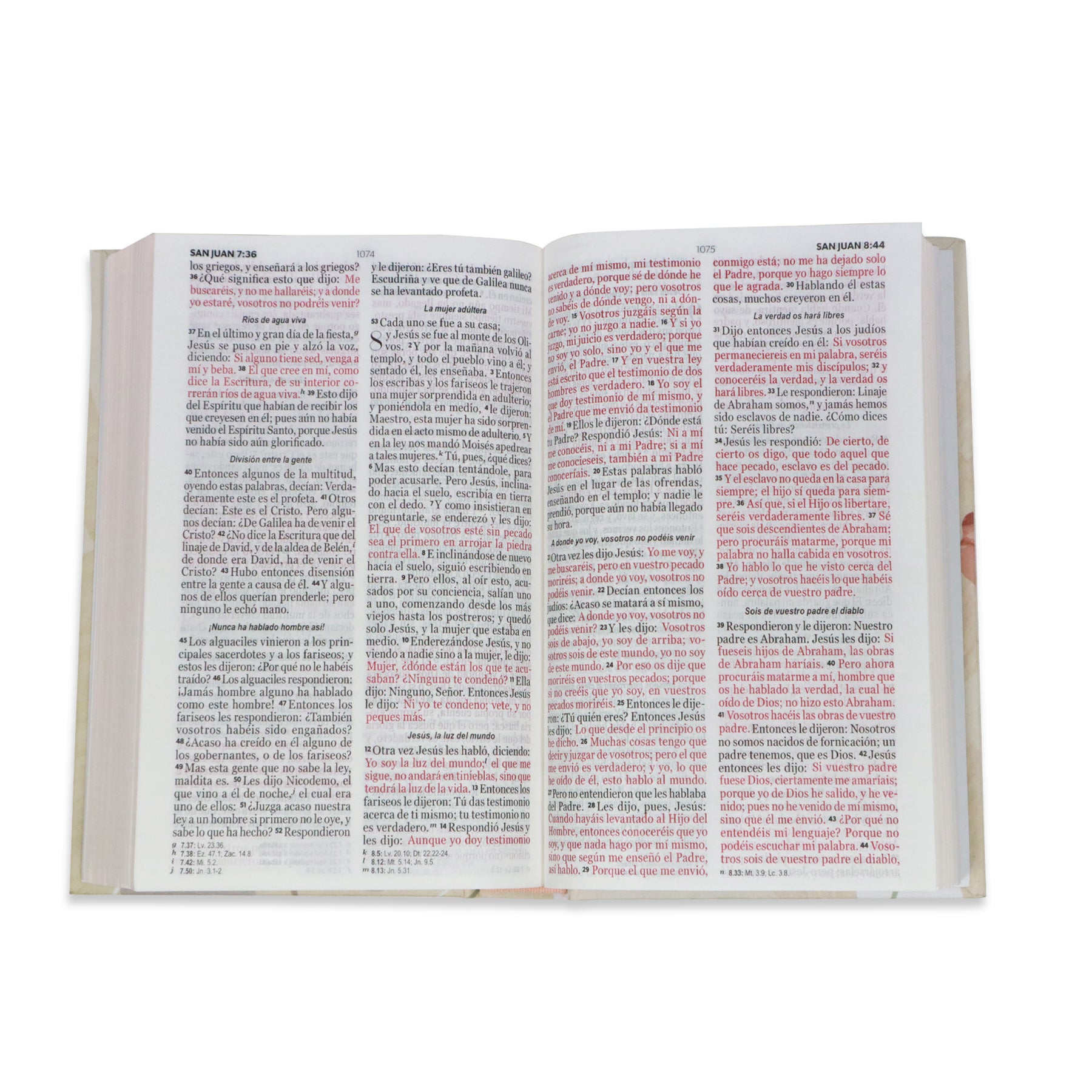 BIBLIA RVR1960 MANUAL LETRA GRANDE TAPA DURA MULTIBRISA /TELA