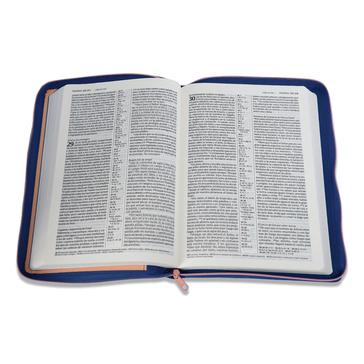 BIBLIA RVR1960 LETRA GRANDE EDICION ZIPER SENTIPIEL CORAL