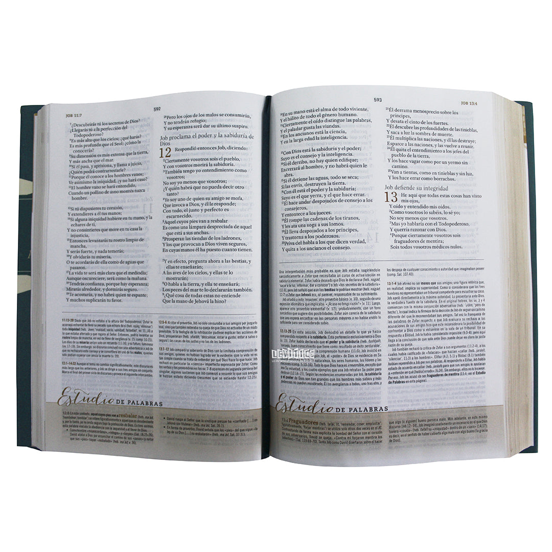Biblia de Estudio Para Mujeres RVR60 Tela impresa/ Verde